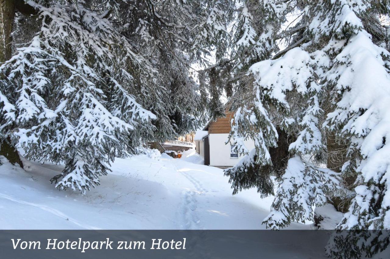 Erzgebirgshotel Misnia Baerenfels Hotel