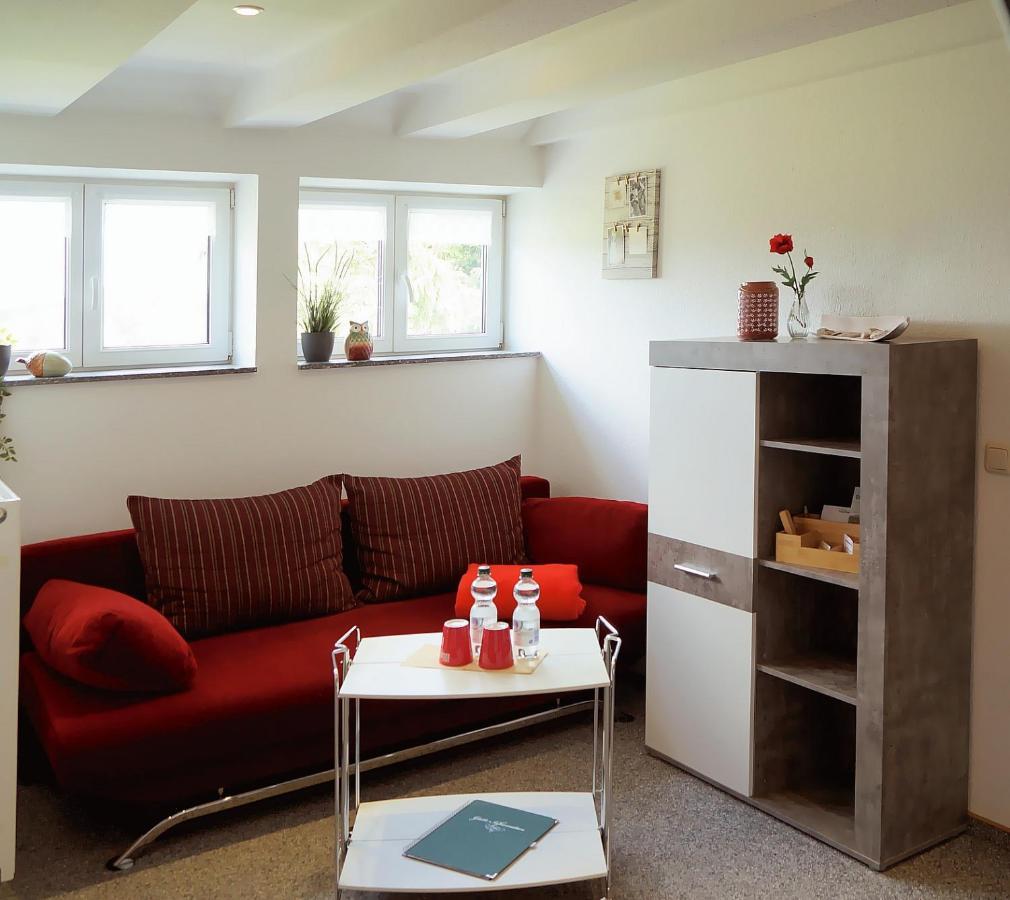 Hotel Erzgebirgshotel Misnia Bärenfels Altenberg (Erzgebirge)